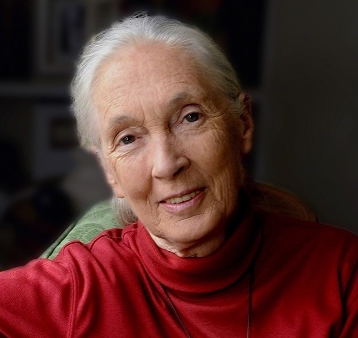 2020 SES LIFETIME ACHIEVEMENT DR JANE GOODALL DBE